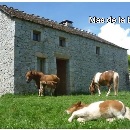 Semesterbostad Grande Maison En Cevennes,montagne, Lacs, Rivieres